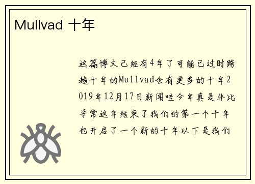Mullvad 十年 