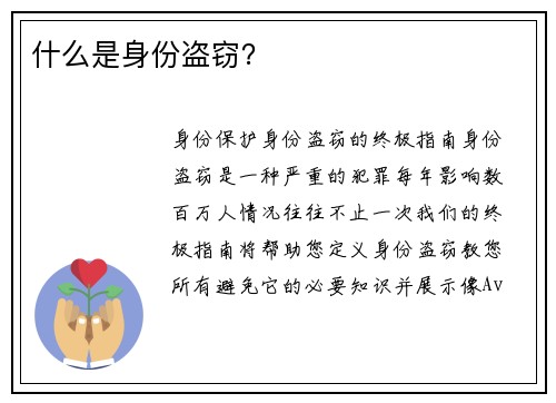 什么是身份盗窃？